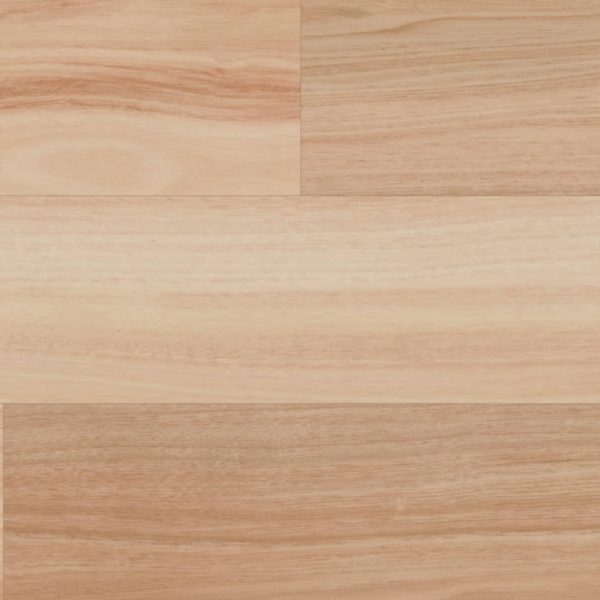 Raw Spotted Gum – Bild 2