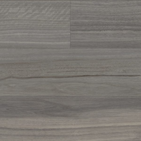Nickel Spotted Gum – Bild 2
