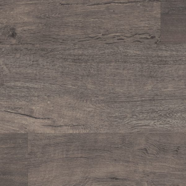 Raven Oak – Bild 2