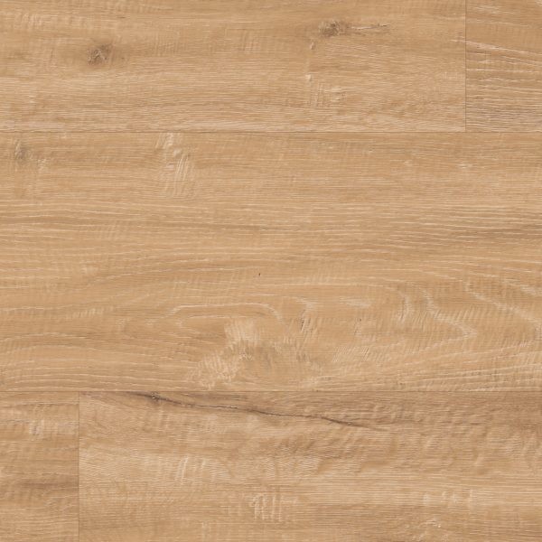 Champagne Oak – Bild 2