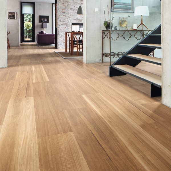 Lemon Spotted Gum – Bild 3