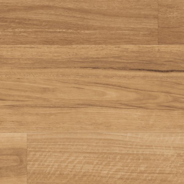 Lemon Spotted Gum – Bild 2