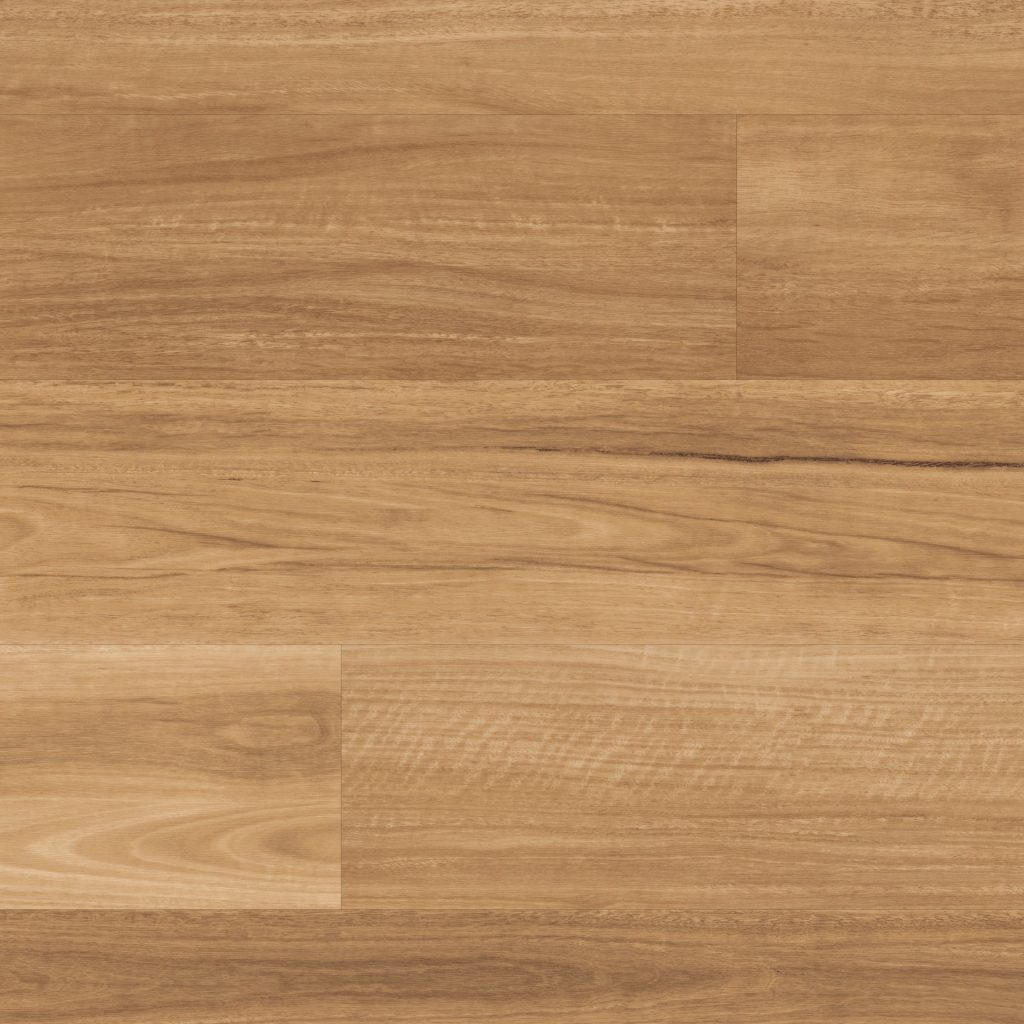 Lemon Spotted Gum | Bodenbelag | Bienna.com