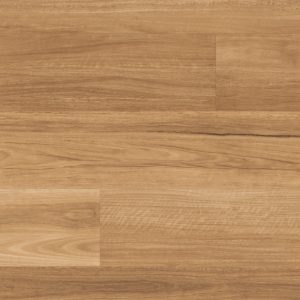 Lemon Spotted Gum | Bodenbelag | Bienna.com