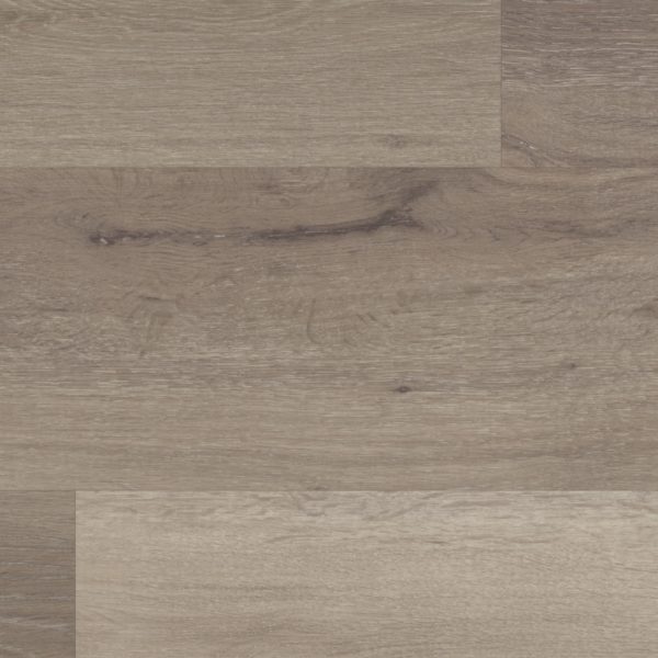 Washed Grey Ash – Bild 2