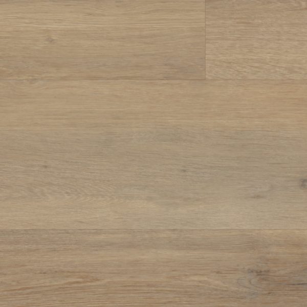 Canadian Urban Oak – Bild 2