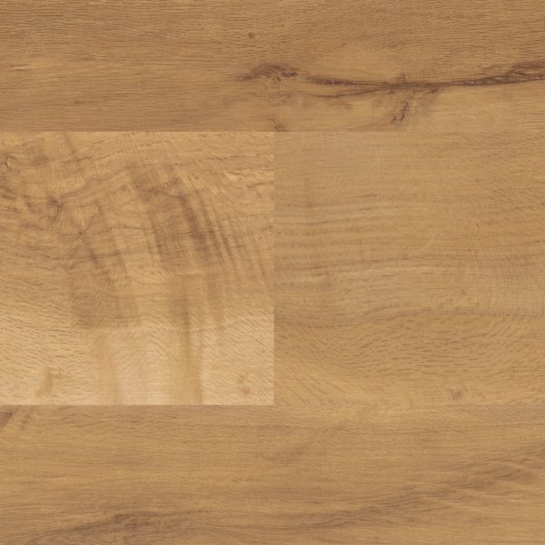 Auckland Oak – Bild 2