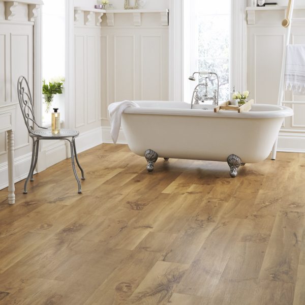 Auckland Oak – Bild 3