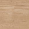 Birch – Bild 2