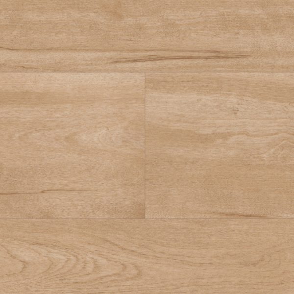 Birch – Bild 2
