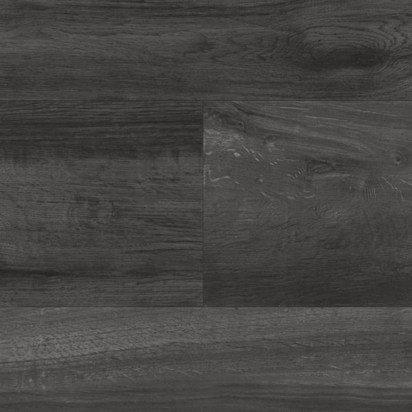 Ebony – Bild 2