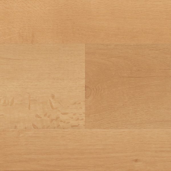Palleo – Bild 2
