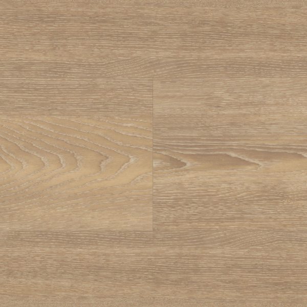 Niveus – Bild 2