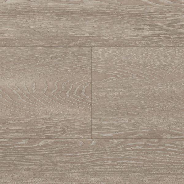 Pallida – Bild 2