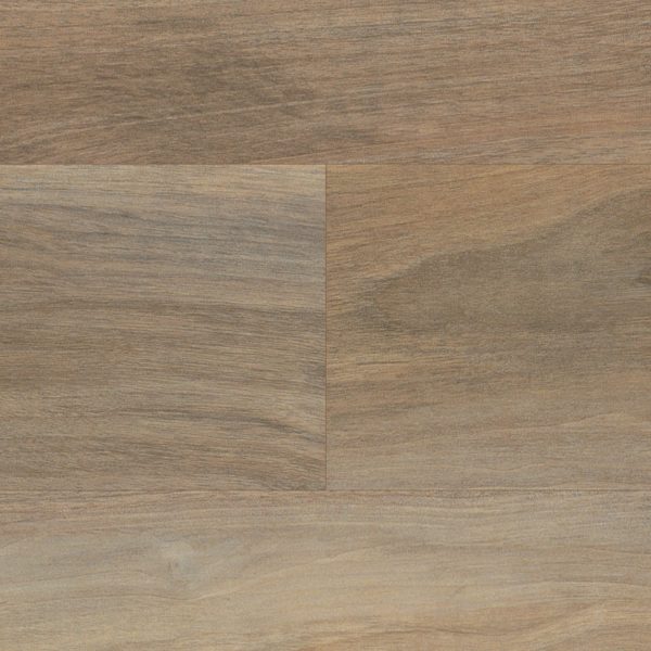 Weathered Elm – Bild 2